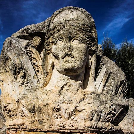 Casa Levante Villa Canosa di Puglia Esterno foto