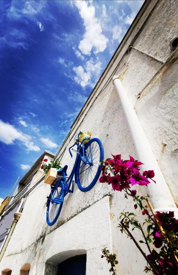 Casa Levante Canosa di Puglia Esterno foto