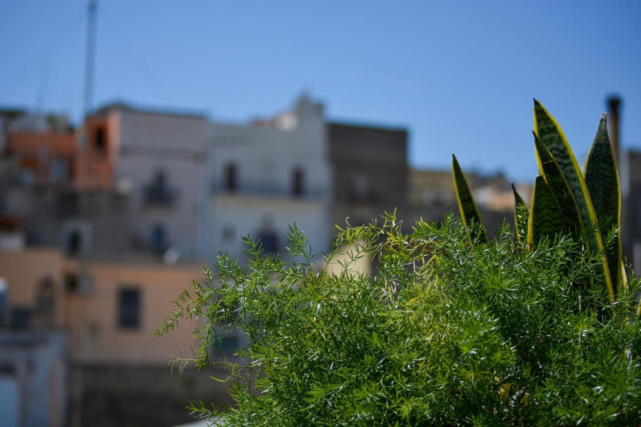 Casa Levante Canosa di Puglia Esterno foto