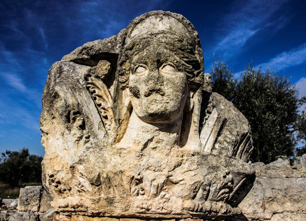 Casa Levante Villa Canosa di Puglia Esterno foto